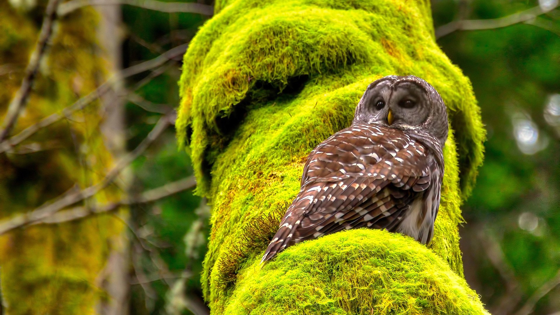 米兰体育官网首页-中国足球门前抢点效率统计，足球抢点是什么意思